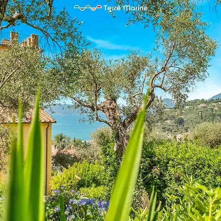 Sister's House, Terre Marine Lerici