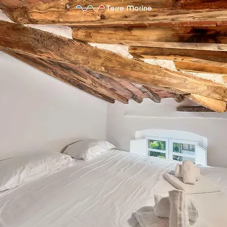 Sister's House, Terre Marine *